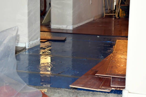 Professional Water Damage Restoration technician working in Elwood, IN